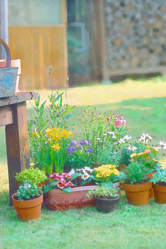 无人,竖图,室内,特写,白天,正面,绘画,数码,科技,草地,草坪,植物,餐桌,桌子,一排,阴影,艺术,整齐,光线,网络,盆栽,影子,盆景,高光,几何,计算机图形,古典,合成,文化,草,排列,绿色,阳光,自然,工艺品,品味,生长,成长,餐台,美术,电脑合成图,数码合成图,水彩,水彩画,高雅,队列,写实,具体,具象,美学,彩图