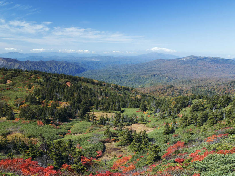 无人,横图,俯视,航拍,室外,白天,旅游,度假,美景,森林,山,山脉,树林,植物,秋田县,日本,亚洲,景观,山峰,云,云朵,山峦,云彩,娱乐,树,树木,蓝色,绿色,白云,蓝天,天空,自然,群山,天,享受,休闲,景色,放松,生长,晴朗,成长,鸟瞰,自然风光,东亚,本州,本州岛,日本国,秋田,东北地方,晴空,彩图,高角度拍摄