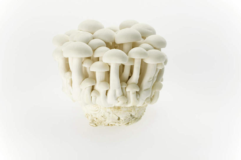 无人,横图,俯视,室内,特写,白天,白色背景,餐桌,桌子,蔬菜,一堆,许多,堆叠,堆积,新鲜,菌菇,蘑菇,食品,菌类,食物,白色,食用菌,摄影,有机食品,绿色食品,影棚,餐台,堆,白蘑菇,洋蘑菇,草腐菌,二孢蘑菇,双孢蘑菇,彩图,高角度拍摄,影棚拍摄,拍摄