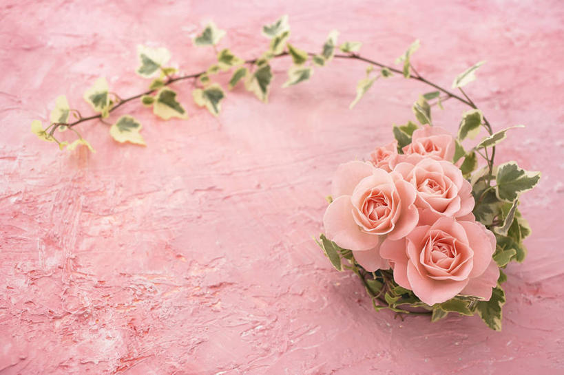 无人,横图,俯视,室内,特写,白天,爱情,幸福,纯洁,热情,玫瑰,三朵,粉色背景,朦胧,模糊,盛开,长春藤,常春藤,玫瑰花,浪漫,花蕾,花,花瓣,花朵,鲜花,粉色,花苞,花蕊,温暖,温馨,恩爱,摄影,影棚,和睦,感动,永恒,尊敬,不朽,忠实,洋常春藤,天真,刺玫花,徘徊花,彩图,高角度拍摄,影棚拍摄,拍摄,融洽,常青藤