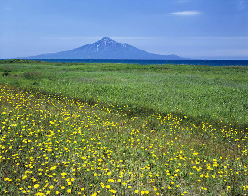 无人,横图,室外,白天,正面,旅游,度假,美景,山,山脉,北海道,日本,亚洲,许多,盛开,地平线,景观,山峰,辽阔,地面,山峦,花蕾,娱乐,花,花瓣,花朵,鲜花,蓝色,蓝天,天空,自然,群山,天,花苞,花蕊,享受,休闲,景色,放松,晴朗,一望无际,自然风光,延伸,东亚,万里无云,日本国,天地相交,北海道地方,北海道岛,晴空,晴空万里,彩图,利尻山,利尻町,利尻岳