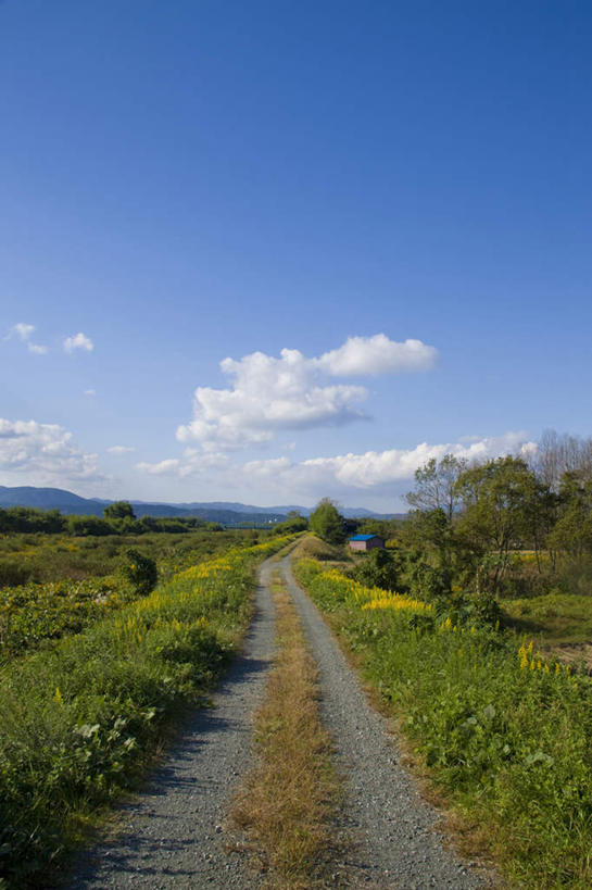 无人,竖图,室外,白天,正面,旅游,度假,草地,草坪,美景,植物,道路,路,日本,亚洲,阴影,光线,影子,景观,云,云朵,小路,交通,云彩,娱乐,草,蓝色,绿色,白云,蓝天,天空,阳光,自然,天,享受,休闲,景色,放松,晴朗,自然风光,东亚,本州,本州岛,日本国,近畿地方,近畿,滋贺,滋贺县,晴空,彩图