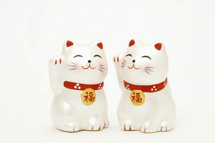 无人,横图,室内,特写,白天,白色背景,正面,爱情,幸福,静物,朦胧,模糊,瓷器,招财猫,陶瓷制品,浪漫,祈祷,祈福,两只,恋爱,许愿,金融,摄影,影棚,经济,祈求,资金,贸易,招财,招福,财源广进,财运,彩图,影棚拍摄,拍摄