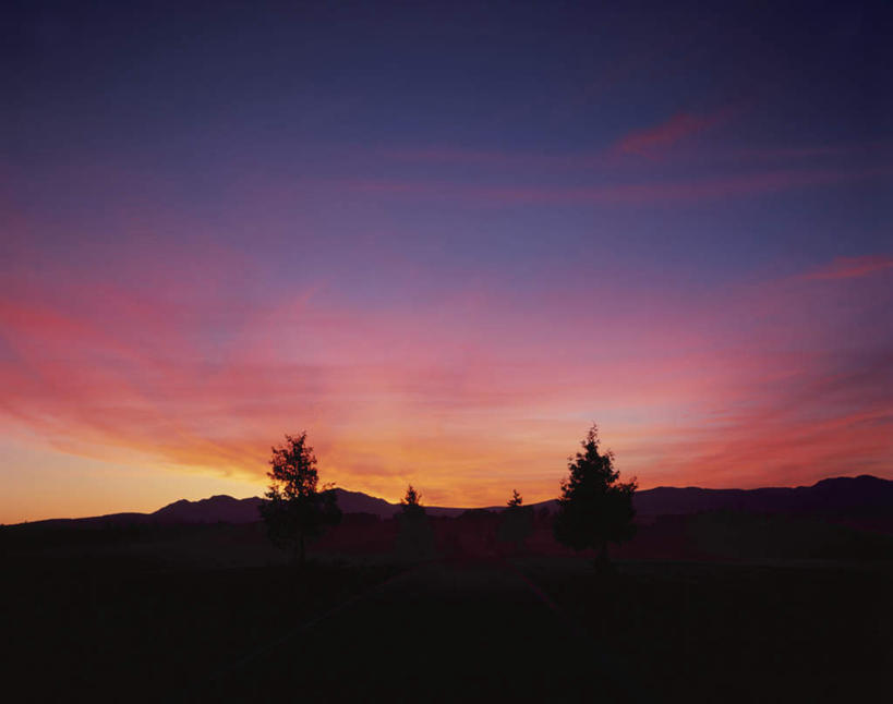 无人,横图,室外,白天,仰视,旅游,度假,美景,日落,植物,北海道,日本,亚洲,朦胧,模糊,景观,晚霞,霞光,落日,背光,娱乐,树,树木,绿色,自然,黄昏,享受,休闲,景色,彩霞,放松,生长,成长,自然风光,逆光,东亚,日本国,北海道地方,北海道岛,美瑛町,美瑛,夕照,夕阳,彩图,低角度拍摄,斜阳