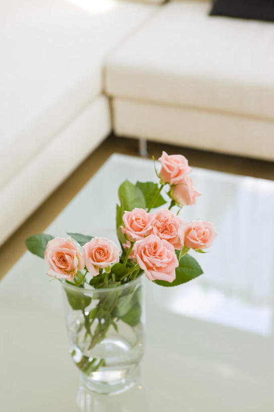 无人,家,客厅,竖图,俯视,室内,白天,爱情,幸福,纯洁,热情,别墅,家具,靠垫,沙发,装修,桌子,建筑,玫瑰,花瓶,欧式,许多,朦胧,模糊,装饰,盛开,陶瓷,房屋,屋子,公寓,玫瑰花,靠枕,陶瓷制品,豪华,浪漫,花蕾,茶几,建设,现代,装潢,洋房,楼房,住宅,花,花瓣,花朵,鲜花,两个,粉色,黄色,黑色,瓶子,垫子,室内装潢,枕头,花苞,花蕊,温暖,温馨,恩爱,明亮,和睦,起居室,舒适,家居装潢,感动,房屋设计,地中海风格,简约风格,布艺沙发,室内设计,宽敞,样板房装潢,尊敬,天真,刺玫花,徘徊花,设计,彩图,高角度拍摄,房子,融洽