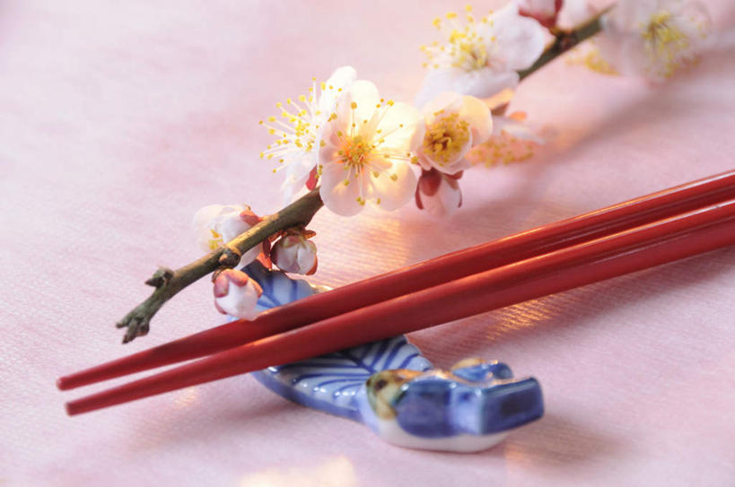 无人,横图,俯视,室内,特写,白天,筷子,餐具,一双,阴影,粉色背景,朦胧,模糊,盛开,反射,影子,梅花,筷架,花蕾,筷枕,文化,传统,花,花瓣,花朵,鲜花,一个,粉色,花苞,花蕊,摄影,影棚,单个,礼节,筷子架,高雅,坚强,礼仪,梅,进餐用具,彩图,高角度拍摄,影棚拍摄,拍摄