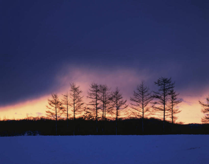 无人,横图,室外,白天,正面,旅游,度假,日出,美景,树林,太阳,植物,北海道,日本,亚洲,阴影,朦胧,模糊,光线,影子,景观,朝霞,晨曦,黎明,背光,娱乐,树,树木,绿色,阳光,自然,享受,休闲,景色,放松,生长,成长,自然风光,逆光,东亚,日本国,北海道地方,北海道岛,朝阳,彩图,破晓