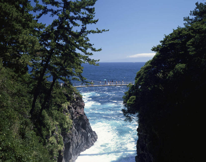 无人,横图,室外,白天,正面,旅游,度假,草地,草坪,海浪,海洋,美景,山,山脉,植物,静冈县,日本,亚洲,朦胧,模糊,木板,景观,浪花,山峰,水平线,云,云朵,桥,木桥,海平线,山峦,云彩,娱乐,栈桥,草,树,树木,蓝色,绿色,白云,蓝天,天空,自然,海水,群山,天,享受,休闲,景色,放松,生长,晴朗,成长,人行桥,木板桥,自然风光,海景,东亚,本州,本州岛,日本国,中部地方,静冈,城崎海岸,大海,风浪,海,海水的波动,近岸浪,涌浪,晴空,彩图