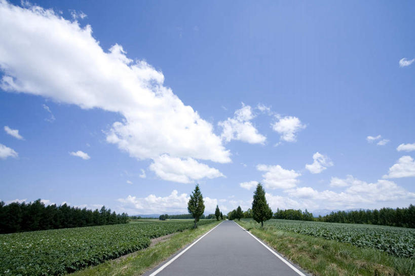 无人,农田,横图,全景,室外,白天,正面,旅游,度假,庄稼,农作物,美景,天际线,植物,道路,路,北海道,日本,亚洲,地平线,景观,云,云朵,小路,辽阔,地面,交通,云彩,娱乐,树,树木,蓝色,绿色,白云,蓝天,天空,自然,天,享受,休闲,景色,放松,生长,晴朗,成长,一望无际,自然风光,延伸,东亚,日本国,天地相交,北海道地方,北海道岛,美瑛町,美瑛,晴空,彩图,耕地,庄稼田