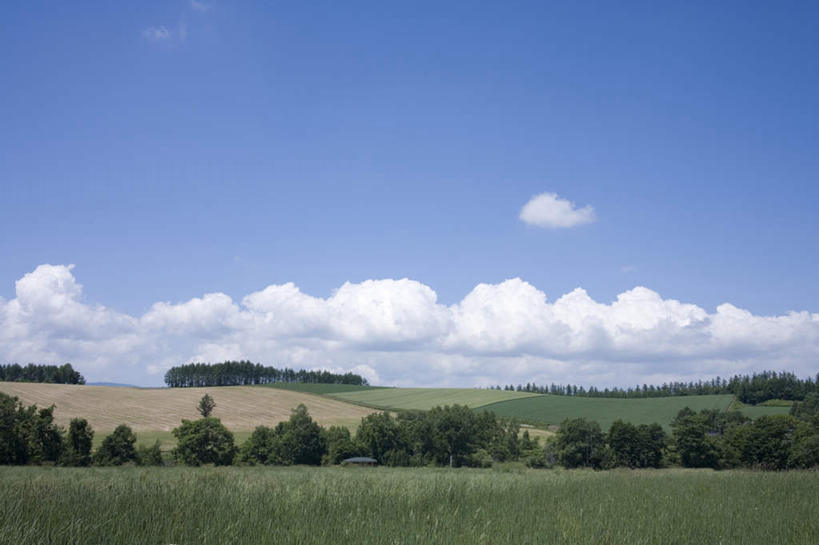 无人,农田,横图,全景,室外,白天,正面,旅游,度假,庄稼,农作物,草地,草坪,美景,树林,天际线,植物,北海道,日本,亚洲,地平线,景观,云,云朵,辽阔,地面,云彩,娱乐,草,树,树木,蓝色,绿色,白云,蓝天,天空,自然,天,享受,休闲,景色,放松,生长,晴朗,成长,一望无际,自然风光,延伸,东亚,日本国,天地相交,北海道地方,北海道岛,美瑛町,美瑛,晴空,彩图,耕地,庄稼田