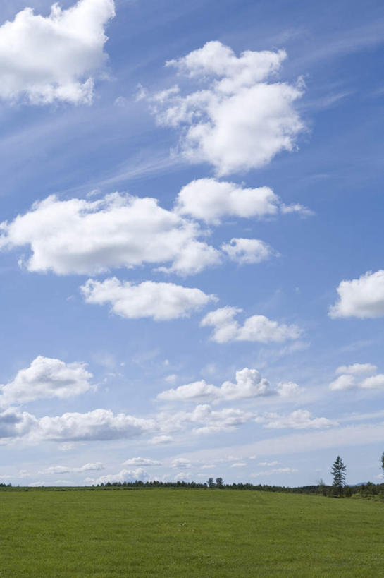 无人,农田,竖图,全景,室外,白天,仰视,旅游,度假,庄稼,农作物,美景,天际线,植物,北海道,日本,亚洲,一棵,朦胧,模糊,地平线,景观,云,云朵,辽阔,地面,云彩,娱乐,树,树木,蓝色,绿色,白云,蓝天,天空,自然,天,享受,休闲,景色,放松,生长,晴朗,成长,一望无际,自然风光,延伸,东亚,日本国,天地相交,北海道地方,北海道岛,美瑛町,美瑛,晴空,彩图,低角度拍摄,耕地,庄稼田