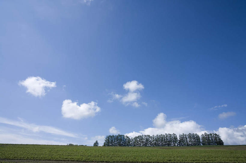 无人,农田,横图,全景,室外,白天,仰视,旅游,度假,庄稼,农作物,草地,草坪,美景,树林,天际线,植物,北海道,日本,亚洲,一排,朦胧,模糊,整齐,地平线,景观,云,云朵,辽阔,地面,云彩,娱乐,草,树,树木,排列,蓝色,绿色,白云,蓝天,天空,自然,天,享受,休闲,景色,放松,生长,晴朗,成长,一望无际,队列,自然风光,延伸,东亚,日本国,天地相交,北海道地方,北海道岛,美瑛町,美瑛,晴空,彩图,低角度拍摄,耕地,庄稼田