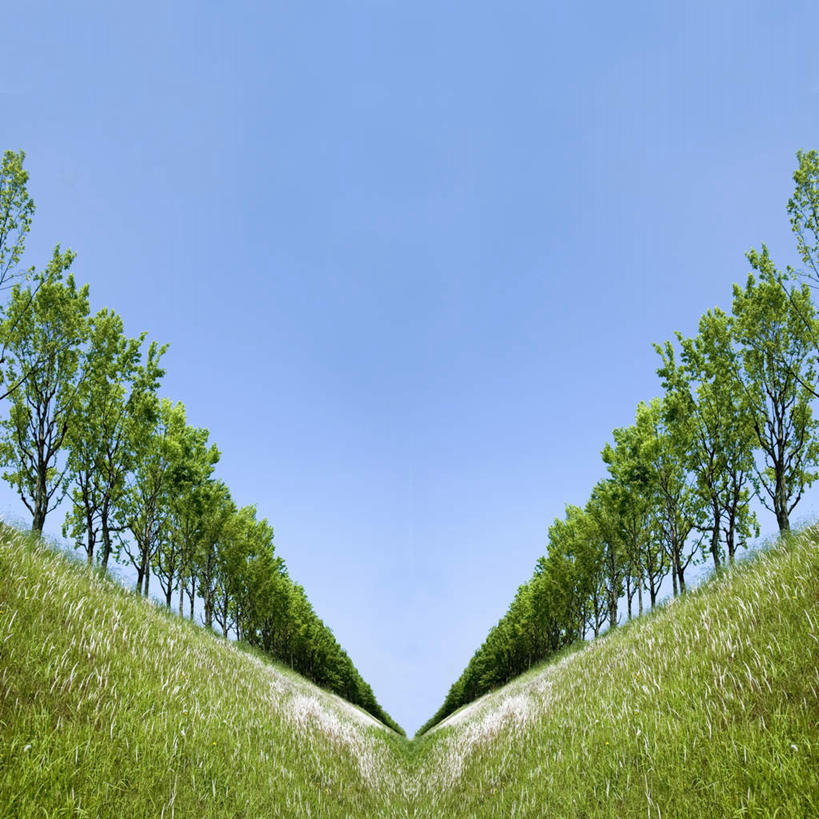 无人,方图,室外,白天,仰视,旅游,度假,数码,科技,草地,草坪,美景,植物,一排,许多,阴影,朦胧,模糊,整齐,网络,景观,高光,几何,计算机图形,合成,娱乐,草,树,树木,排列,蓝色,绿色,蓝天,天空,自然,天,享受,休闲,景色,放松,生长,晴朗,成长,电脑合成图,数码合成图,队列,自然风光,万里无云,写实,具体,具象,晴空,晴空万里,彩图,低角度拍摄