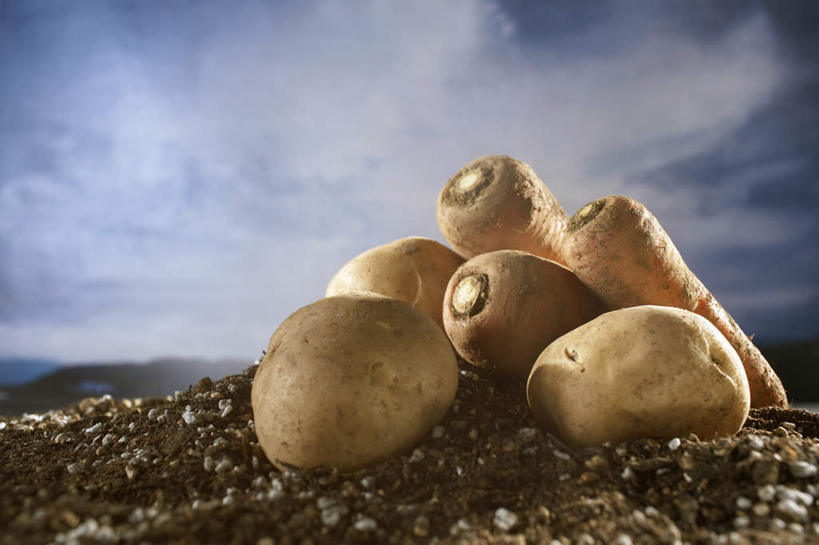 无人,横图,室外,特写,白天,正面,旅游,度假,美景,萝卜,胡萝卜,蔬菜,土豆,朦胧,模糊,新鲜,景观,泥土,土,云,云朵,食品,云彩,娱乐,食物,蓝色,白云,蓝天,天空,自然,天,享受,休闲,景色,放松,摄影,有机食品,绿色食品,影棚,晴朗,自然风光,馍馍蛋,晴空,洋芋,山药蛋,马铃薯,红萝卜,甘荀,彩图,影棚拍摄,拍摄