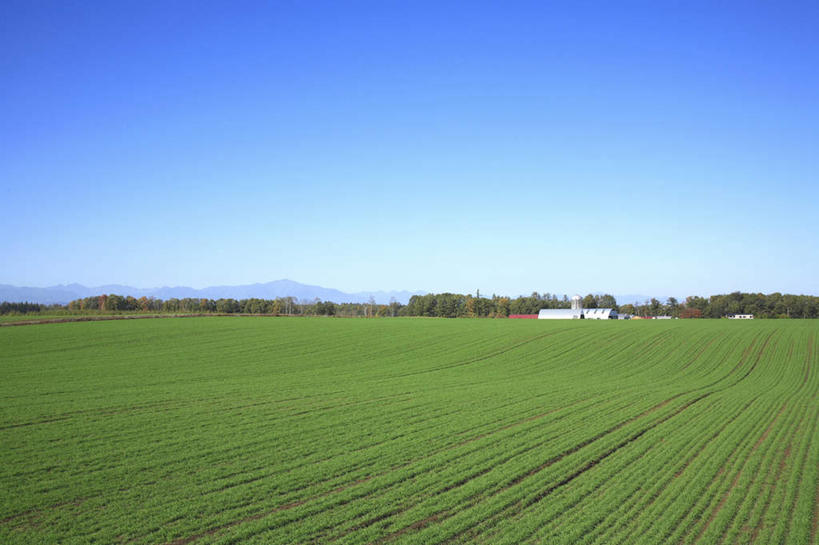 无人,农田,横图,室外,白天,正面,旅游,度假,庄稼,农作物,小麦,美景,山,山脉,朦胧,模糊,景观,山峰,谷物,山峦,娱乐,蓝色,蓝天,天空,自然,群山,天,享受,休闲,稻谷,稻子,景色,放松,麦子,晴朗,自然风光,万里无云,晴空,晴空万里,彩图,耕地,庄稼田