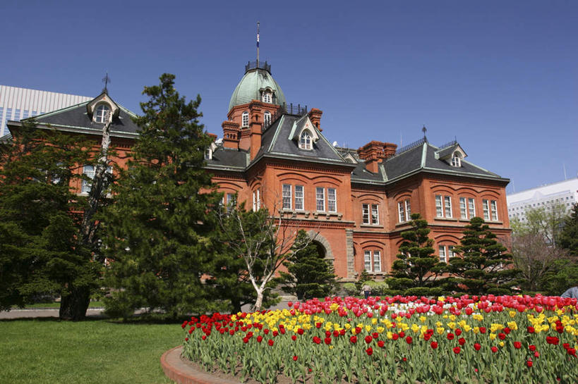 无人,家,横图,室外,白天,仰视,旅游,度假,草地,草坪,美景,植物,北海道,日本,亚洲,阴影,盛开,光线,影子,房屋,屋子,景观,公寓,花蕾,娱乐,洋房,楼房,住宅,草,花,花瓣,花朵,鲜花,树,树木,黄色,红色,蓝色,绿色,蓝天,天空,阳光,自然,天,花苞,花蕊,享受,休闲,景色,放松,生长,晴朗,成长,自然风光,东亚,万里无云,日本国,北海道地方,北海道岛,晴空,晴空万里,彩图,低角度拍摄,房子