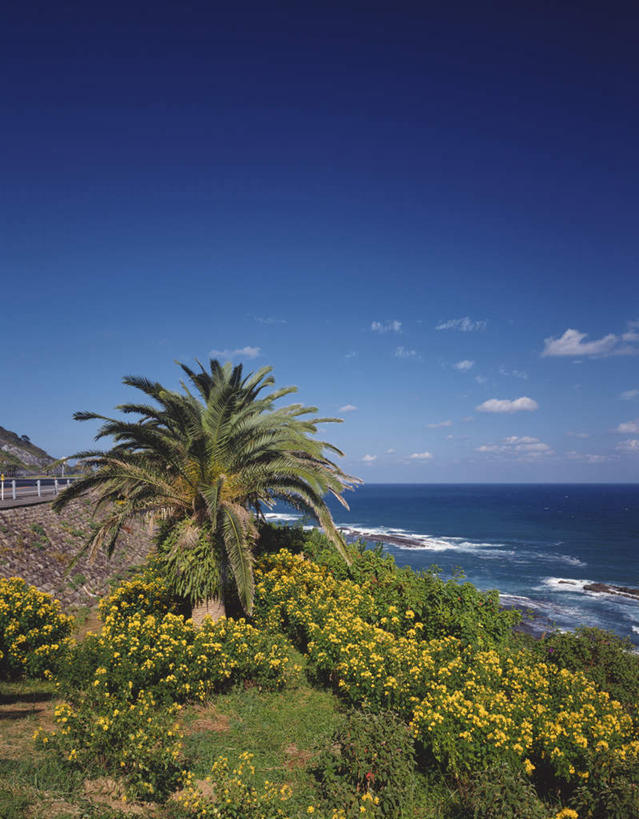 无人,竖图,俯视,室外,白天,旅游,度假,草地,草坪,海浪,海洋,美景,水,植物,日本,亚洲,阴影,飞溅,溅,光线,液体,影子,景观,浪花,水滴,云,云朵,云彩,娱乐,水珠,草,树,树木,蓝色,绿色,白云,蓝天,天空,阳光,自然,海水,天,享受,休闲,景色,放松,生长,成长,喷洒,自然风光,海景,东亚,日本国,九州本岛,九州,九州岛,九州地方,宫崎,宫崎县,大海,风浪,海,海水的波动,近岸浪,涌浪,彩图,高角度拍摄