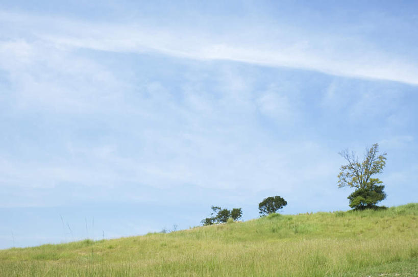 无人,横图,室外,白天,正面,旅游,度假,草地,草坪,美景,植物,阴影,光线,影子,景观,云,云朵,云彩,娱乐,草,树,树木,蓝色,绿色,白云,蓝天,天空,阳光,自然,天,享受,休闲,景色,放松,生长,成长,自然风光,彩图