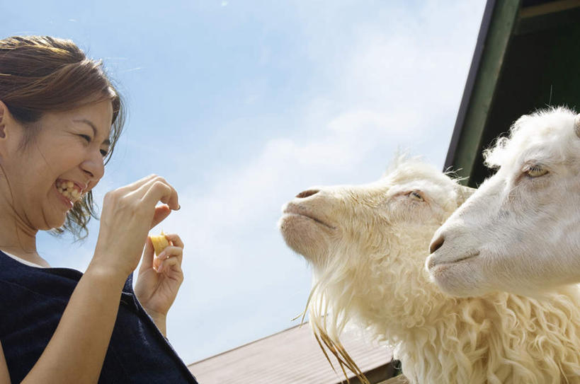 东方人,头发,一个人,站,笑,摸,微笑,露齿笑,横图,室外,白天,仰视,旅游,度假,牧场,羊,亚洲,仅一个年轻女性,仅一个女性,仅一个人,抚摸,握,阴影,服装,光线,瓦片,影子,屋檐,云,云朵,拿,云彩,拿着,注视,休闲装,黄种人,娱乐,檐,衣服,黄色,蓝色,白色,黑色,白云,蓝天,天空,阳光,动物,天,低头,观察,看,站着,张嘴,两只,享受,休闲,休闲服,家畜,放松,握着,服饰,牲畜,观看,察看,关注,张大嘴巴,年轻女性,女人,女性,亚洲人,长发,张开嘴,绵羊,触摸,接触,抬头,仰头,站立,半身,彩图,低角度拍摄