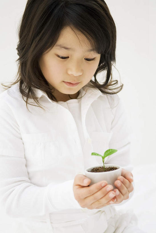 东方人,儿童,头发,一个人,坐,捧,笑,摸,微笑,露齿笑,竖图,室内,白天,白色背景,正面,纯洁,植物,叶子,亚洲,仅一个女性,仅一个人,抚摸,握,服装,盆栽,绿叶,盆景,拿,拿着,注视,休闲装,黄种人,一个,小孩,衣服,绿色,白色,黑色,自然,低头,观察,看,仅一个小孩,休闲,休闲服,嫩叶,可爱,童年,童趣,握着,摄影,服饰,影棚,生长,单个,成长,观看,察看,关注,童真,烂漫,无邪,秧苗,天真,女孩,女人,女性,亚洲人,孩子,叶,叶片,触摸,端,端着,接触,捧着,手捧,坐着,半身,彩图,影棚拍摄,拍摄,女生