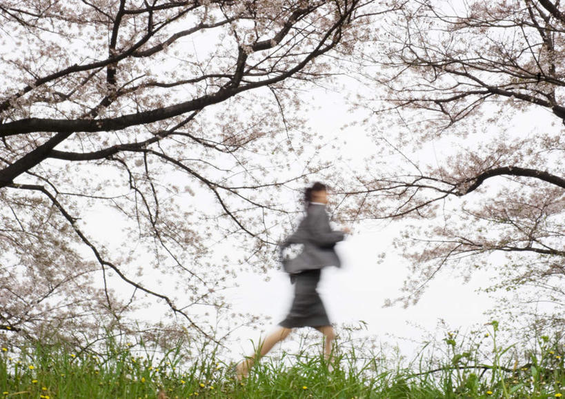 东方人,头发,一个人,商务人士,商务女性,站,跑,横图,室外,白天,仰视,锻炼,旅游,度假,运动,草地,草坪,植物,樱花,亚洲,仅一个年轻女性,仅一个女性,仅一个人,阴影,套装,盛开,光线,影子,花蕾,抬腿,黄种人,娱乐,草,花,花瓣,花朵,鲜花,树,树木,粉色,蓝色,绿色,黑色,蓝天,天空,阳光,自然,天,花苞,花蕊,站着,享受,休闲,放松,抬手,生长,成长,商务装,工薪阶层,仙樱花,福岛樱,青肤樱,体育,年轻女性,女人,女性,亚洲人,长发,白领,上班族,荆桃,跑步,站立,彩图,低角度拍摄,全身,健身