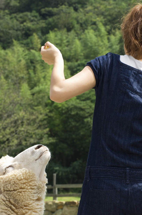 东方人,头发,一个人,站,举,摸,竖图,室外,白天,旅游,度假,牧场,草地,草坪,植物,羊,亚洲,仅一个年轻女性,仅一个女性,仅一个人,抚摸,阴影,服装,光线,影子,休闲装,黄种人,娱乐,草,树,树木,一只,背面,衣服,黄色,蓝色,绿色,白色,阳光,自然,动物,托,站着,享受,休闲,休闲服,家畜,放松,喂,服饰,牲畜,生长,成长,年轻女性,女人,女性,亚洲人,绵羊,触摸,接触,举起,举手,举着,向上举,向上伸,向上托,站立,半身,彩图