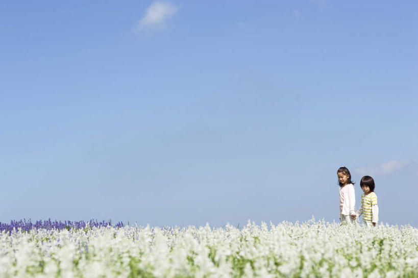 东方人,儿童,头发,两个人,站,走,笑,微笑,露齿笑,横图,室外,白天,侧面,旅游,度假,纯洁,草地,草坪,植物,亚洲,阴影,服装,盛开,光线,影子,云,云朵,花蕾,云彩,注视,休闲装,黄种人,娱乐,草,花,花瓣,花朵,鲜花,小孩,衣服,蓝色,绿色,紫色,白色,黑色,白云,蓝天,天空,阳光,香草,天,花苞,花蕊,薰衣草,观察,看,站着,享受,休闲,休闲服,放松,可爱,童年,童趣,服饰,观看,察看,关注,童真,烂漫,无邪,灵香草,黄香草,天真,男孩,男人,男性,女孩,女人,女性,亚洲人,步行,散步,站立,走路,半身,彩图,男生,女生