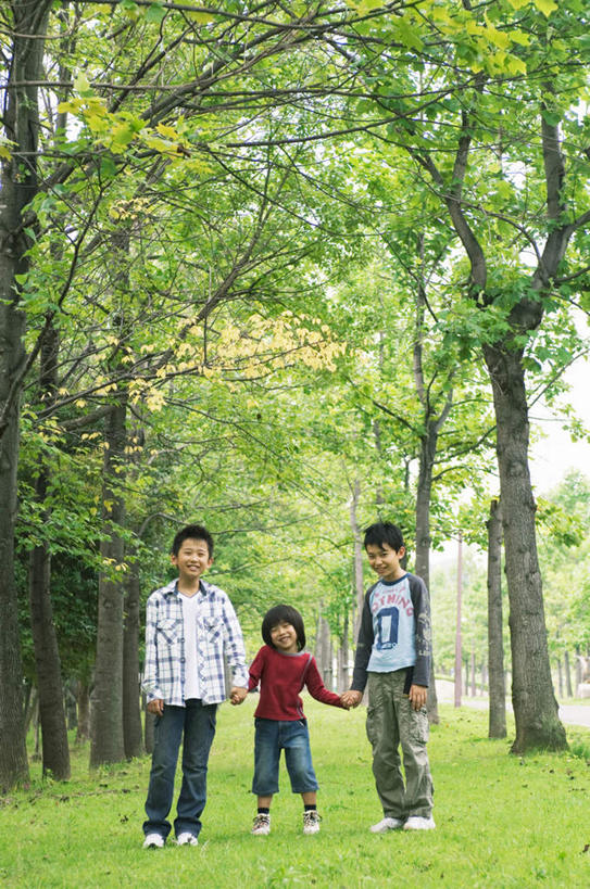 东方人,儿童,头发,三个人,站,握手,笑,摸,微笑,露齿笑,竖图,室外,白天,正面,旅游,度假,纯洁,成功,合作,团队,集体,信心,草地,草坪,植物,亚洲,一排,抚摸,阴影,服装,整齐,光线,影子,注视,休闲装,黄种人,娱乐,队伍,草,树,树木,排列,小孩,衣服,红色,绿色,白色,黑色,阳光,自然,观察,看,站着,享受,休闲,休闲服,放松,可爱,童年,童趣,服饰,生长,成长,观看,察看,成就,队列,关注,合伙,童真,烂漫,无邪,天真,男孩,男人,男性,亚洲人,触摸,接触,拉手,手拉手,手握手,站立,彩图,全身,男生