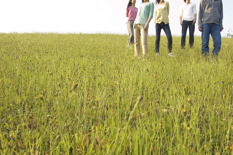 东方人,头发,同事,站,走,横图,室外,白天,正面,旅游,度假,成功,合作,团队,集体,信心,草地,草坪,植物,亚洲,五个人,一排,阴影,服装,整齐,光线,影子,云,云朵,许多人,云彩,注视,休闲装,黄种人,娱乐,队伍,草,排列,衣服,粉色,蓝色,绿色,黑色,白云,蓝天,天空,阳光,天,观察,看,站着,一群人,享受,休闲,休闲服,放松,服饰,观看,察看,领导,成就,队列,关注,合伙,领袖,男人,男性,年轻男性,年轻女性,女人,女性,亚洲人,步行,散步,站立,走路,半身,彩图