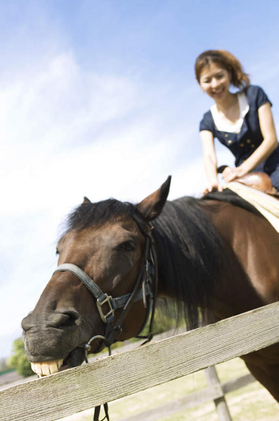 东方人,一个人,栏杆,坐,笑,摸,微笑,露齿笑,竖图,室外,白天,仰视,旅游,度假,植物,马,野生动物,亚洲,仅一个年轻女性,仅一个女性,仅一个人,撑,抚摸,阴影,光线,影子,栅栏,篱笆,云,云朵,围栏,褐色,云彩,注视,黄种人,娱乐,护栏,一匹,树,树木,骑,蓝色,绿色,白云,蓝天,天空,阳光,自然,动物,天,观察,看,享受,休闲,放松,运输,牲畜,生长,成长,观看,察看,撑着,关注,年轻女性,女人,女性,亚洲人,触摸,接触,坐着,半身,彩图,低角度拍摄