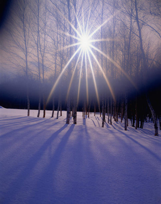 无人,竖图,室外,白天,正面,旅游,度假,美景,太阳,雪,植物,阴影,光线,影子,积雪,景观,雪地,雪景,云,云朵,冬季,冬天,云彩,娱乐,树,树木,蓝色,白云,蓝天,天空,阳光,自然,天,享受,休闲,景色,放松,寒冷,生长,晴朗,成长,自然风光,严寒,晴空,彩图