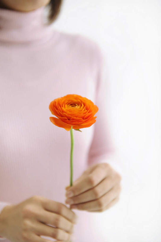 东方人,一个人,站,竖图,室内,特写,白天,白色背景,正面,毛衣,植物,亚洲,仅一个年轻女性,仅一个女性,仅一个人,朦胧,模糊,盛开,玛格丽特,拿,拿着,黄种人,雏菊,花,花瓣,花朵,花卉,鲜花,一朵,粉色,花蕊,站着,橙色,菊花,摄影,影棚,延命菊,幸福花,春菊,马兰头花,年轻女性,女人,女性,亚洲人,站立,半身,彩图,影棚拍摄,绒衣,套衫,套头毛衣,线衣,拍摄