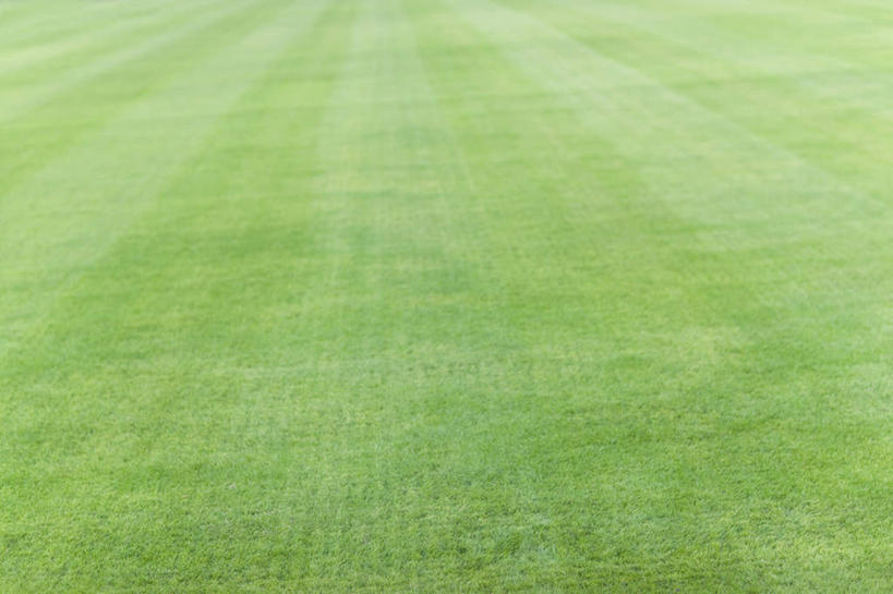 无人,横图,俯视,室外,白天,旅游,度假,草地,草坪,美景,植物,阴影,光线,纹路,影子,景观,线路,娱乐,草,绿色,阳光,自然,享受,休闲,景色,放松,自然风光,彩图,高角度拍摄