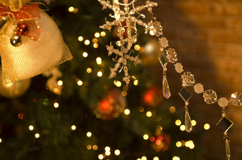 无人,横图,室内,特写,白天,正面,植物,静物,照明,圣诞节,节日,朦胧,模糊,庆祝,装饰,彩灯,挂饰,灯光,圣诞树,圣诞球,文化,灯,球,树,树木,绿色,自然,灯具,庆典,球体,花灯,生长,成长,纪念,华丽,修饰,照亮,点缀,照明设备,衬托,美观,雅致,雅观,彩图