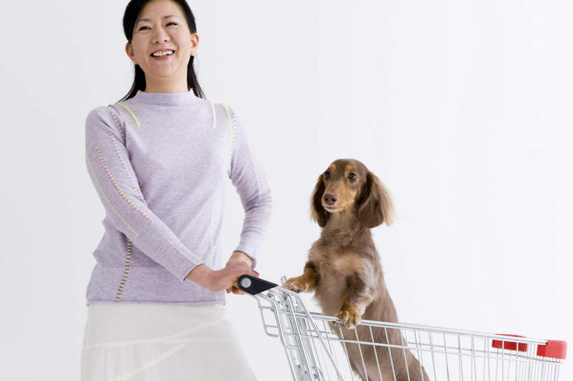 东方人,一个人,站,笑,微笑,露齿笑,横图,室内,白天,白色背景,正面,毛衣,宠物,狗,购物车,亚洲,仅一个年轻女性,仅一个女性,仅一个人,一条,服装,腊肠犬,棕色,迷你腊肠犬,注视,休闲装,黄种人,车,衣服,紫色,动物,手推车,观察,看,站着,休闲,休闲服,可爱,摄影,服饰,影棚,观看,察看,便利,存放,关注,载具,忠诚,快捷,方便,迷你腊肠狗,寄存,寄放,暂存,年轻女性,女人,女性,亚洲人,犬,站立,半身,彩图,影棚拍摄,绒衣,套衫,套头毛衣,线衣,拍摄