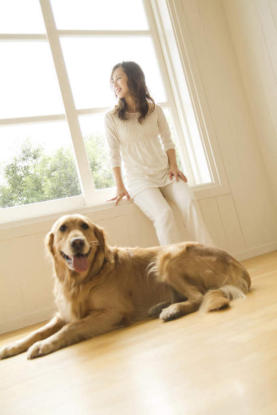 东方人,一个人,客厅,站,竖图,室内,白天,仰视,植物,窗户,地板,宠物,狗,亚洲,仅一个年轻女性,仅一个女性,仅一个人,一条,服装,地面,注视,休闲装,黄种人,金毛犬,木地板,玻璃窗,树,树木,衣服,绿色,自然,动物,观察,看,趴着,站着,休闲,休闲服,可爱,服饰,金毛,生长,成长,观看,察看,起居室,关注,寻回犬,金毛寻回犬,忠诚,金毛狗,金毛寻回狗,寻回狗,年轻女性,女人,女性,亚洲人,犬,趴,站立,彩图,低角度拍摄,全身