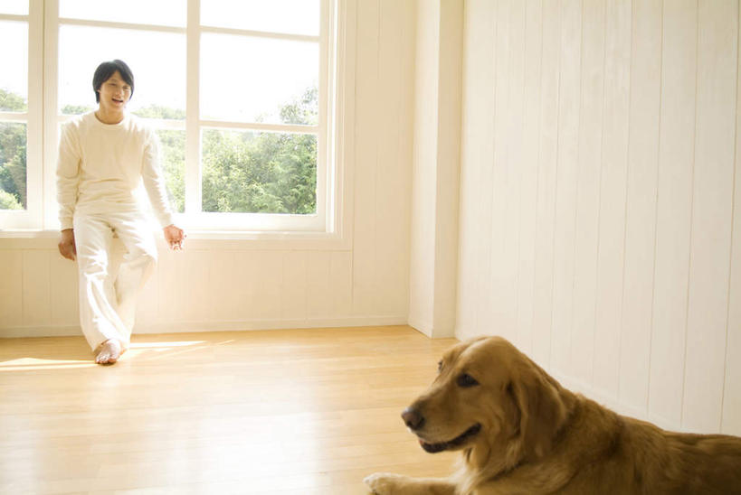 东方人,一个人,站,笑,微笑,露齿笑,横图,室内,白天,正面,植物,窗户,亚洲,仅一个男性,仅一个人,一条,服装,注视,休闲装,黄种人,金毛犬,玻璃窗,树,树木,仅一个年轻男性,衣服,绿色,白色,自然,观察,看,站着,休闲,休闲服,服饰,金毛,生长,成长,观看,察看,关注,寻回犬,金毛寻回犬,男人,男性,年轻男性,亚洲人,站立,彩图,全身