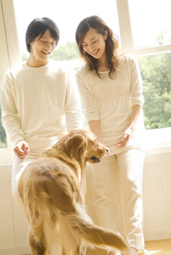 东方人,两个人,夫妻,坐,笑,微笑,露齿笑,竖图,室内,白天,正面,爱情,植物,窗户,亚洲,一条,服装,浪漫,注视,休闲装,黄种人,金毛犬,玻璃窗,树,树木,衣服,绿色,自然,观察,看,休闲,休闲服,恩爱,恋人,服饰,金毛,生长,成长,观看,察看,关注,寻回犬,金毛寻回犬,男人,男性,年轻男性,年轻女性,女人,女性,亚洲人,夫妇,情侣,坐着,半身,彩图,伴侣