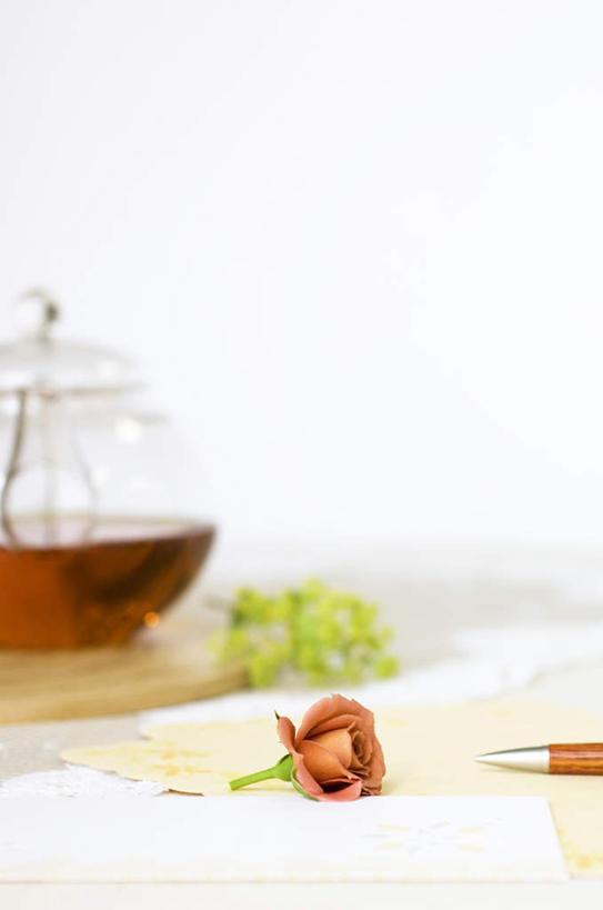 无人,竖图,室内,特写,白天,白色背景,正面,爱情,幸福,纯洁,热情,玫瑰,玻璃,盛开,壶,玫瑰花,一杯,浪漫,花蕾,玻璃制品,水壶,花,花瓣,花朵,鲜花,一朵,茶壶,花苞,花蕊,温暖,温馨,恩爱,摄影,影棚,和睦,感动,尊敬,天真,刺玫花,徘徊花,彩图,影棚拍摄,拍摄,融洽