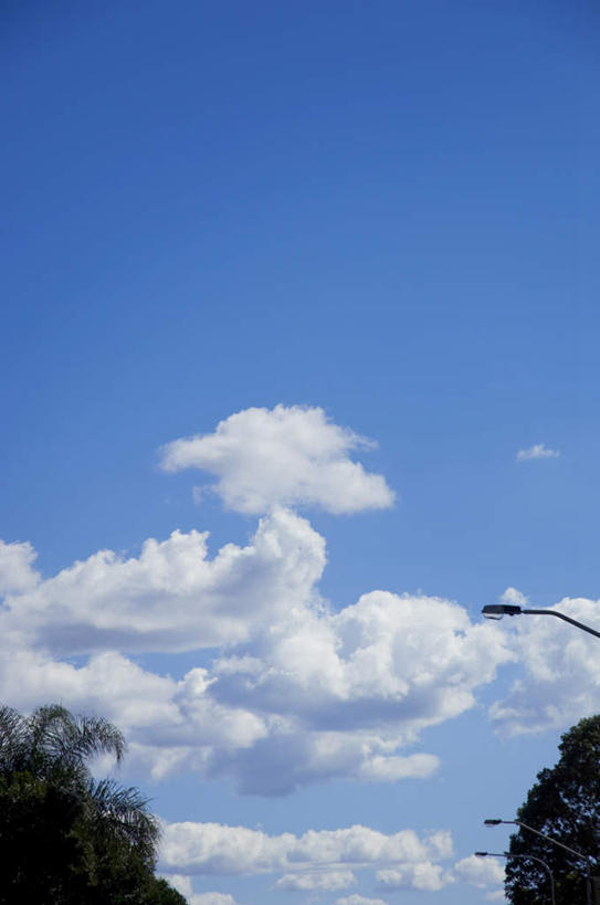 无人,竖图,室外,白天,正面,旅游,度假,美景,植物,路灯,照明,景观,云,云朵,灯光,云彩,娱乐,灯,树,树木,蓝色,绿色,白云,蓝天,天空,自然,天,享受,休闲,景色,放松,生长,晴朗,成长,照亮,照明设备,自然风光,晴空,彩图