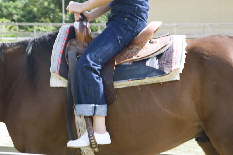 东方人,一个人,坐,横图,室外,白天,侧面,锻炼,运动,植物,马,野生动物,亚洲,仅一个年轻女性,仅一个女性,仅一个人,骑马,阴影,服装,光线,影子,休闲装,黄种人,一匹,树,树木,衣服,绿色,阳光,自然,动物,休闲,休闲服,运输,服饰,牲畜,生长,成长,体育,年轻女性,女人,女性,亚洲人,坐着,半身,彩图,健身