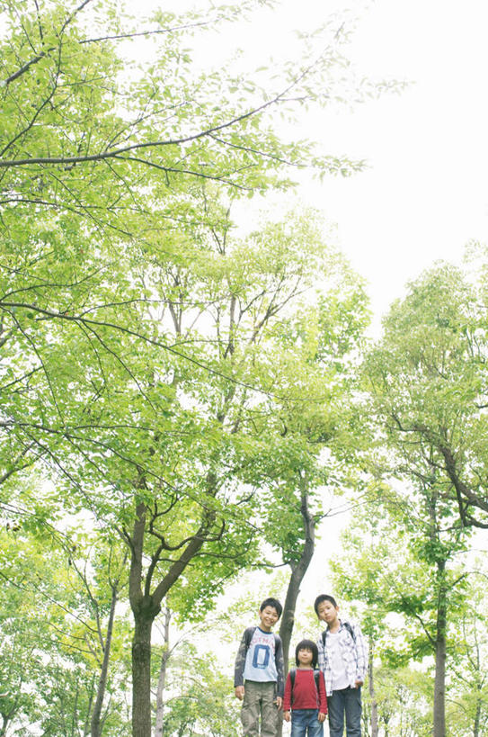 东方人,儿童,三个人,伙伴,朋友,站,笑,微笑,露齿笑,竖图,室外,白天,仰视,衬衫,友谊,纯洁,植物,亚洲,阴影,服装,光线,影子,注视,休闲装,黄种人,树,树木,小孩,衣服,红色,绿色,灰色,阳光,自然,观察,看,站着,休闲,休闲服,可爱,童年,童趣,服饰,生长,成长,观看,察看,关注,童真,烂漫,无邪,天真,友情,男孩,男人,男性,女孩,女人,女性,亚洲人,孩子,站立,半身,彩图,低角度拍摄,衬衣,男生,女生