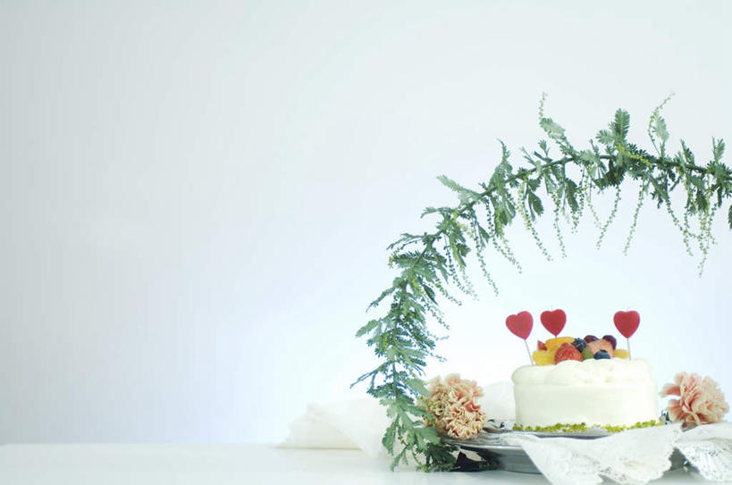 点心,无人,横图,室内,特写,白天,白色背景,正面,爱情,下午茶,植物,餐桌,桌子,康乃馨,叶子,爱心,盛开,墙,食品,绿叶,浪漫,墙壁,墙面,花,花瓣,花朵,花卉,鲜花,食物,糕点,两朵,粉色,红色,花蕊,四个,温暖,温馨,心形,嫩叶,恩爱,摄影,影棚,餐台,和睦,麝香石竹,石竹,香石竹,心型,叶,叶片,彩图,影棚拍摄,拍摄,融洽,蛋糕