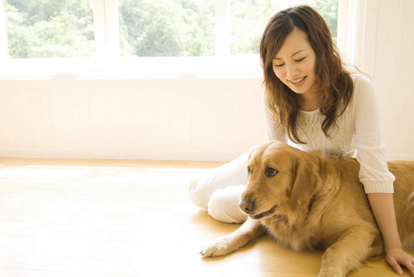 东方人,一个人,坐,抱,横图,室内,白天,正面,植物,窗户,地板,亚洲,仅一个年轻女性,仅一个女性,仅一个人,一条,阴影,服装,光线,影子,棕色,地面,注视,休闲装,黄种人,金毛犬,木地板,玻璃窗,树,树木,衣服,绿色,阳光,自然,观察,看,休闲,休闲服,服饰,金毛,生长,成长,抱着,观看,察看,搂着,关注,寻回犬,金毛寻回犬,年轻女性,女人,女性,亚洲人,搂,搂抱,坐着,半身,彩图