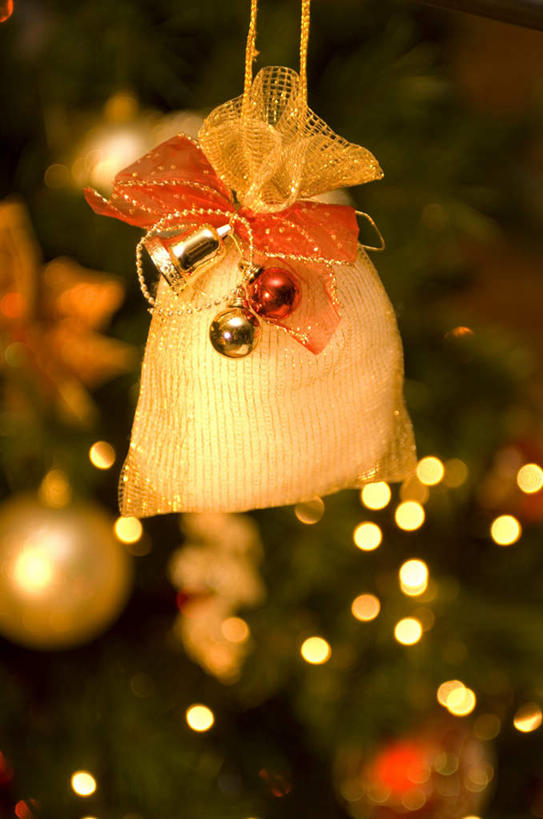 无人,竖图,室内,特写,白天,正面,植物,静物,照明,圣诞节,悬挂,节日,朦胧,模糊,庆祝,彩灯,铃铛,丝绸,丝带,灯光,圣诞树,缎带,文化,绸带,灯,树,树木,一个,红色,绿色,自然,蝴蝶结,灯具,庆典,生长,单个,成长,纪念,照亮,照明设备,彩图