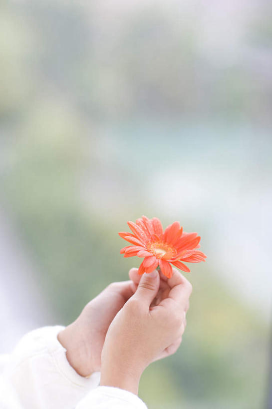 东方人,手,一个人,站,竖图,室内,特写,白天,侧面,植物,亚洲,仅一个年轻女性,仅一个女性,仅一个人,服装,朦胧,模糊,盛开,非洲菊,拿,拿着,休闲装,黄种人,花,花瓣,花朵,花卉,鲜花,一朵,衣服,花蕊,站着,休闲,手部,休闲服,菊花,服饰,单手,扶郎花,灯盏花,千日菊,年轻女性,女人,女性,亚洲人,站立,半身,彩图