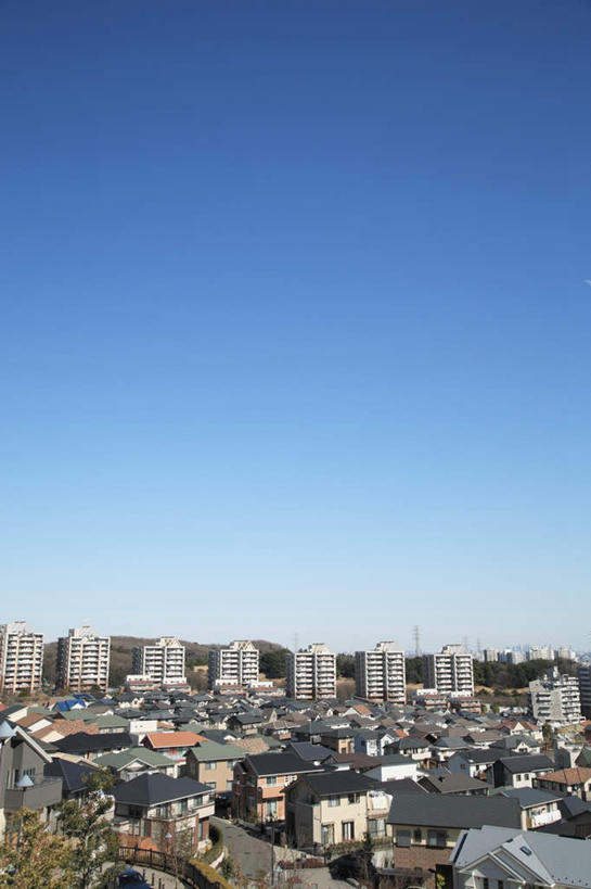 无人,家,竖图,俯视,航拍,室外,白天,旅游,度假,美景,植物,城市风光,城市,建筑,东京,日本,亚洲,一排,许多,阴影,朦胧,模糊,整齐,光线,影子,房屋,屋子,景观,公寓,娱乐,建设,洋房,楼房,住宅,树,树木,排列,蓝色,绿色,蓝天,天空,阳光,自然,天,享受,休闲,景色,放松,生长,晴朗,成长,鸟瞰,队列,东亚,本州,万里无云,关东地方,本州岛,日本国,东京都,晴空,晴空万里,彩图,高角度拍摄,房子