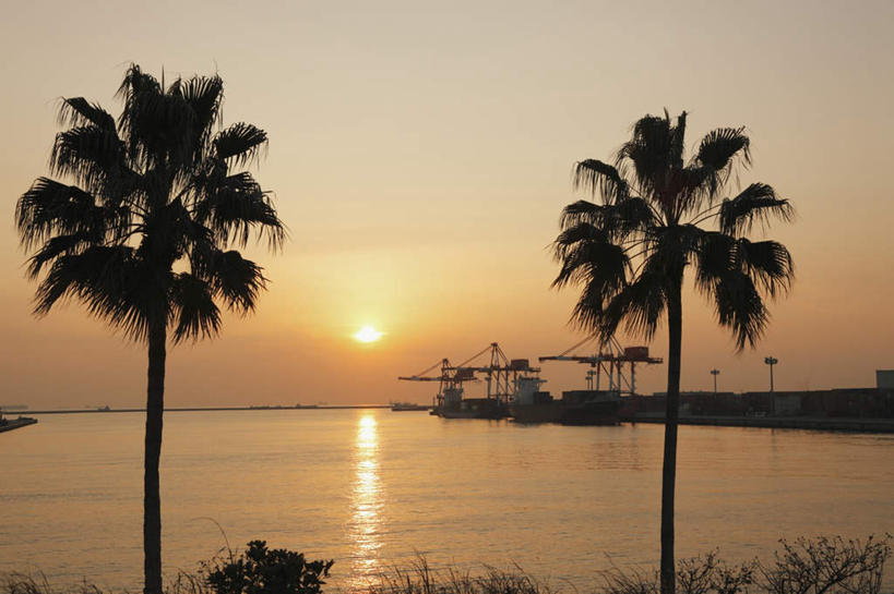 无人,横图,室外,白天,正面,旅游,度假,海浪,海洋,美景,日落,植物,棕榈树,叶子,日本,亚洲,景观,浪花,水平线,晚霞,霞光,辽阔,绿叶,海平线,娱乐,树,树木,蓝色,绿色,蓝天,天空,自然,海水,黄昏,天,享受,休闲,广阔,嫩叶,景色,彩霞,放松,大阪,生长,晴朗,成长,一望无际,自然风光,海景,东亚,棕榈叶,本州,万里无云,大阪府,本州岛,日本国,近畿地方,近畿,无边无际,一马平川,叶,叶片,大海,风浪,海,海水的波动,近岸浪,涌浪,晴空,晴空万里,夕阳,彩图,水天相接,水天一线