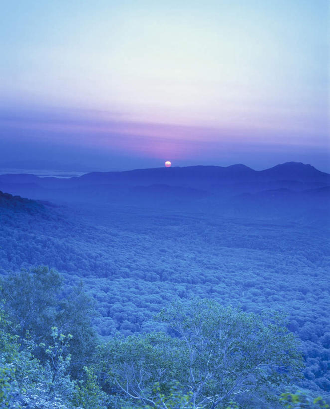 无人,竖图,全景,室外,白天,正面,旅游,度假,日出,美景,森林,山,山脉,树林,太阳,天际线,植物,日本,亚洲,朦胧,模糊,地平线,景观,山峰,辽阔,地面,朝霞,黎明,山峦,娱乐,树,树木,蓝色,绿色,蓝天,天空,阳光,自然,群山,天,享受,休闲,景色,放松,生长,晴朗,成长,一望无际,自然风光,延伸,东亚,万里无云,日本国,天地相交,朝阳,晴空,晴空万里,彩图,破晓