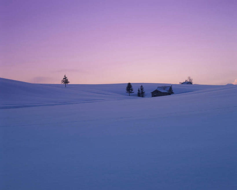 无人,横图,全景,室外,白天,正面,旅游,度假,美景,树林,天际线,雪,植物,大雪,北海道,日本,亚洲,朦胧,模糊,地平线,积雪,景观,雪景,冬季,冬天,辽阔,地面,娱乐,树,树木,绿色,天空,自然,天,享受,休闲,景色,放松,寒冷,生长,成长,一望无际,自然风光,延伸,东亚,日本国,天地相交,北海道地方,北海道岛,美瑛町,严寒,美瑛,彩图